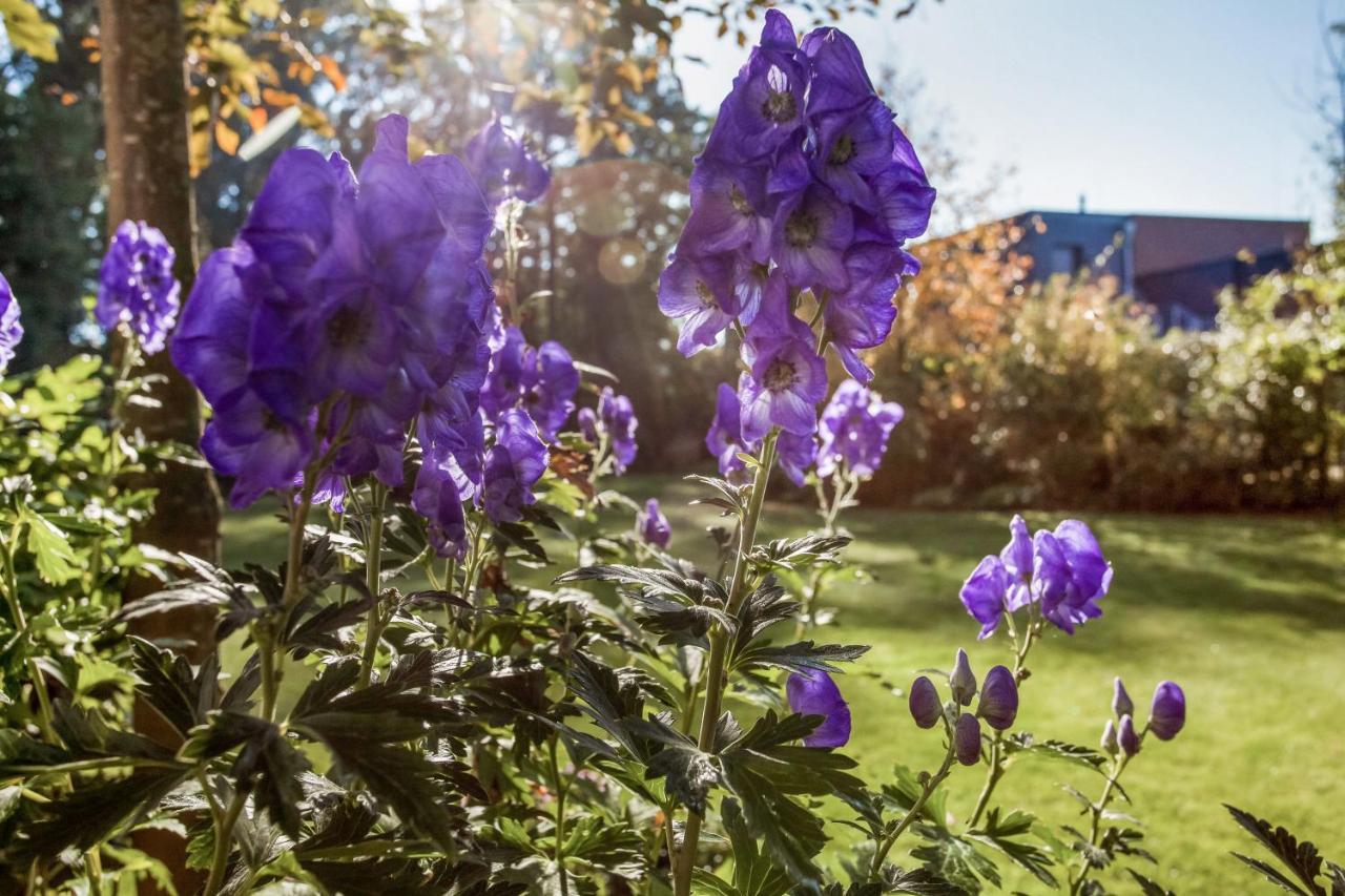 Alte Molkerei Bed and Breakfast Lindern Eksteriør billede